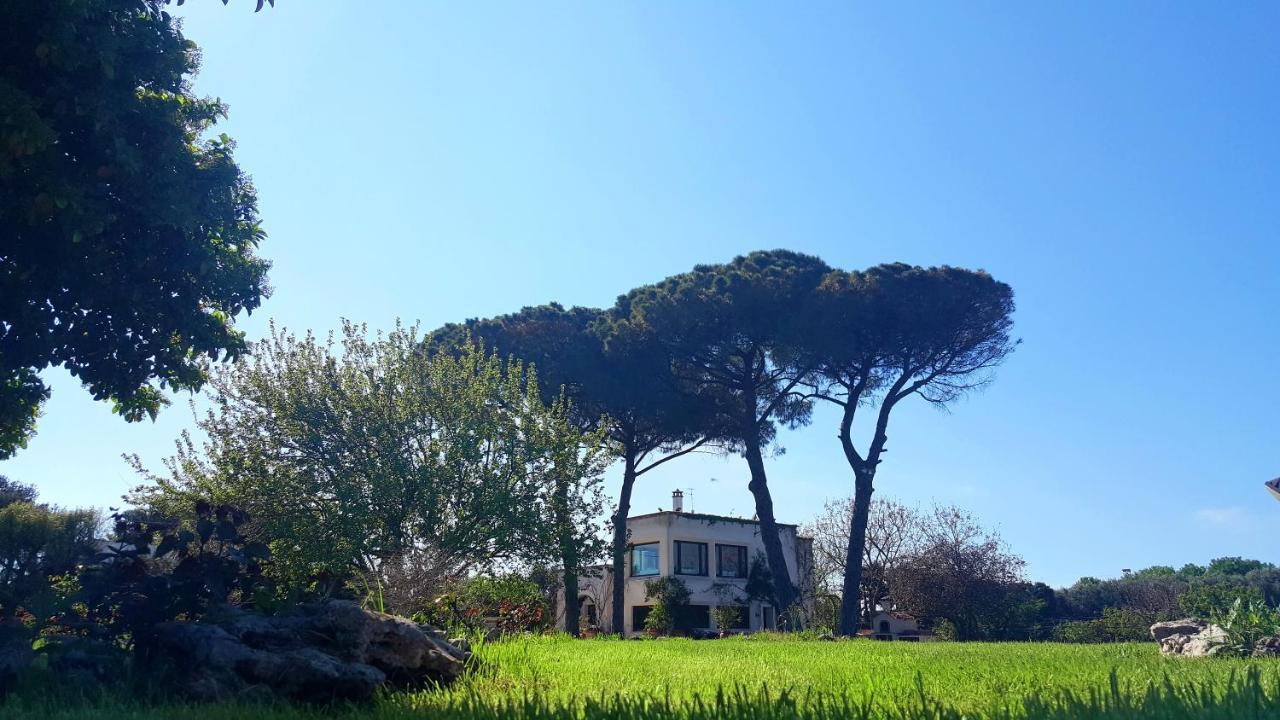 Tenuta Donnanna Agriturismo&Glamping Galatone Eksteriør bilde